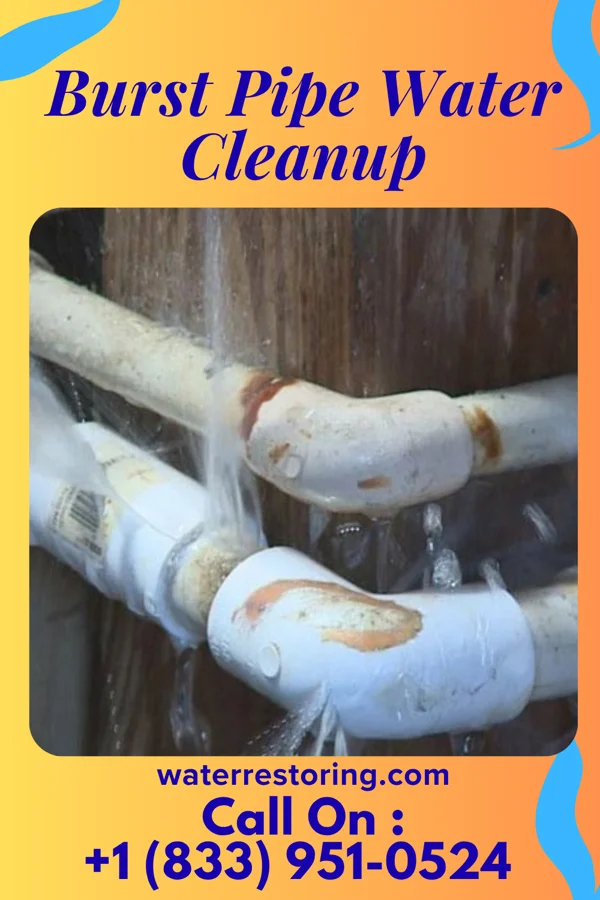 Burst Pipe Water Cleanup in Glenmoor, OH